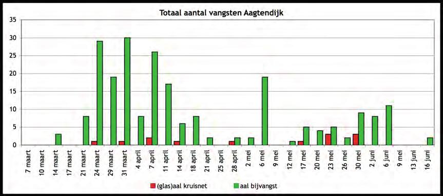 Resultaten 2016 Twee marmergrondels zijn gevangen. Eén exemplaar bij Gemaal De Ruiter en één exemplaar bij Aetsveld-Oost. Estuariene vissen zijn niet veel gevangen.