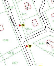 Tabel 38: resultaten VTA-inspectie boom 38 38 Pinus