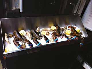 Mishandeling van kreeften en krabben in restaurants Wij krijgen steeds vaker meldingen van het publiek over de hardvochtige manier waarop restaurants en supermarkten zoals o.a. Jumbo en Makro met kreeften en krabben omgaan.