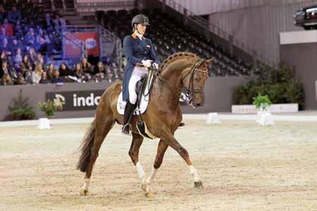 GOEDGEKEURD 1 2 Henk Nijhof jr.: Florencio geeft geen hele moeilijke paarden, maar ze zijn wel sensibel genoeg om op een plezierige manier mee te kunnen werken.