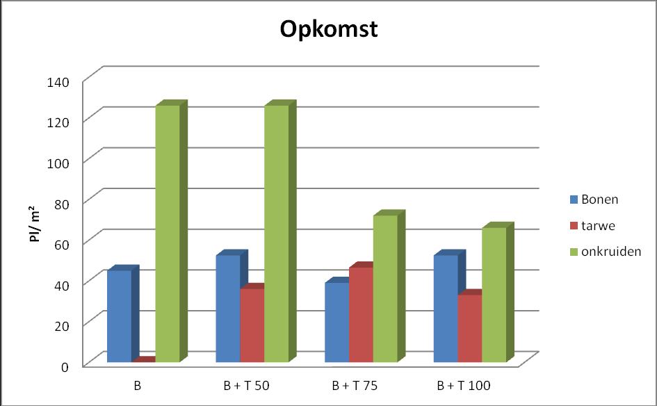 - 43-3 Waarnemingen 3.1 Opkomsttellingen De opkomst was goed tot zeer goed. Toch zijn er verschillen. Merkwaardig is dat de bonen mindersnel groeien als ze alleen staan.