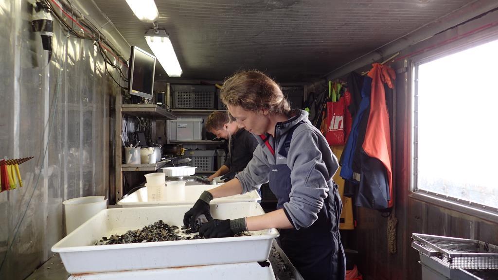 Figuur 5: Het verwerken van bodemmonsters in de labcontainer aan boord van de Ye42.