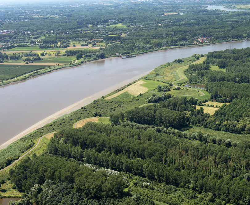 Schouselbroek In het Schouselbroek realiseren we een noodzakelijke en belangrijke stap voor beveiliging tegen overstromingen. Maar ook komt de Scheldenatuur in Temse straks tot volle ontplooiing.