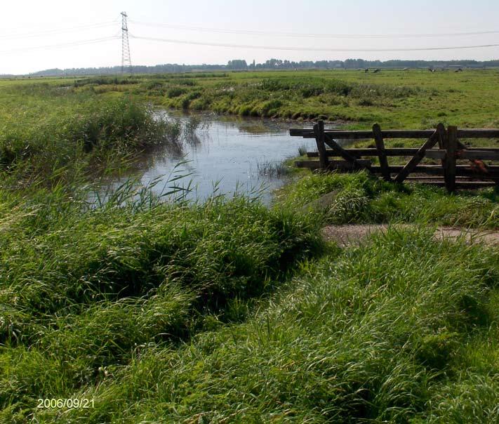 Globale planning waterbeheerplan Putten Omschrijving 2006 2007 2008 2009 Aanpassen bemaling Verbetering waterhuishouding Zandweg en hevel Gereed!