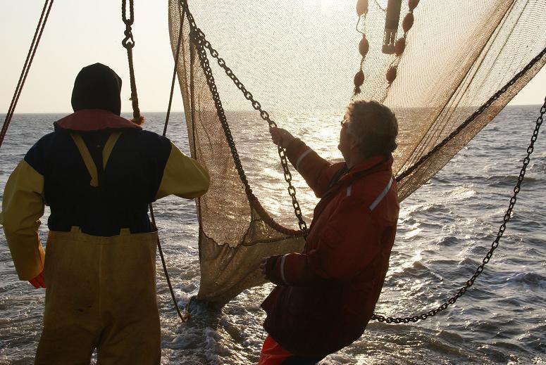 verzameld; en eventuele bijzonderheden. Windkracht wordt vermeld in Beaufort.