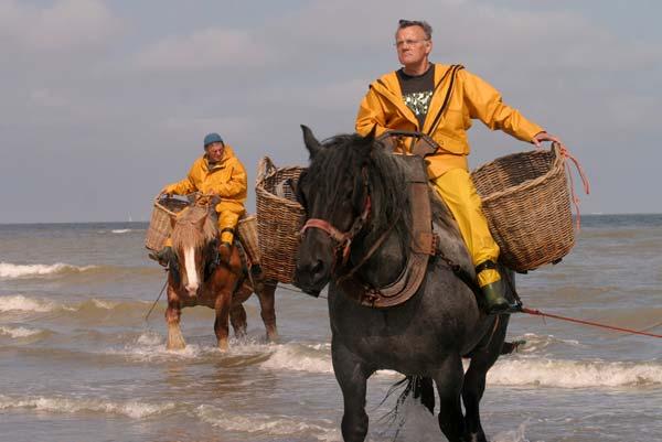 21.393 Collector Wandelweg Aquafin NV 2007 Waterzuivering in Vlaanderen Aquafin NV Opnieuw helder