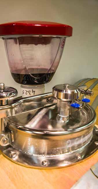 Vinification intégrale is het neusje van de zalm in wijn maken.