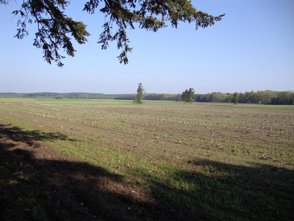 Veluwe