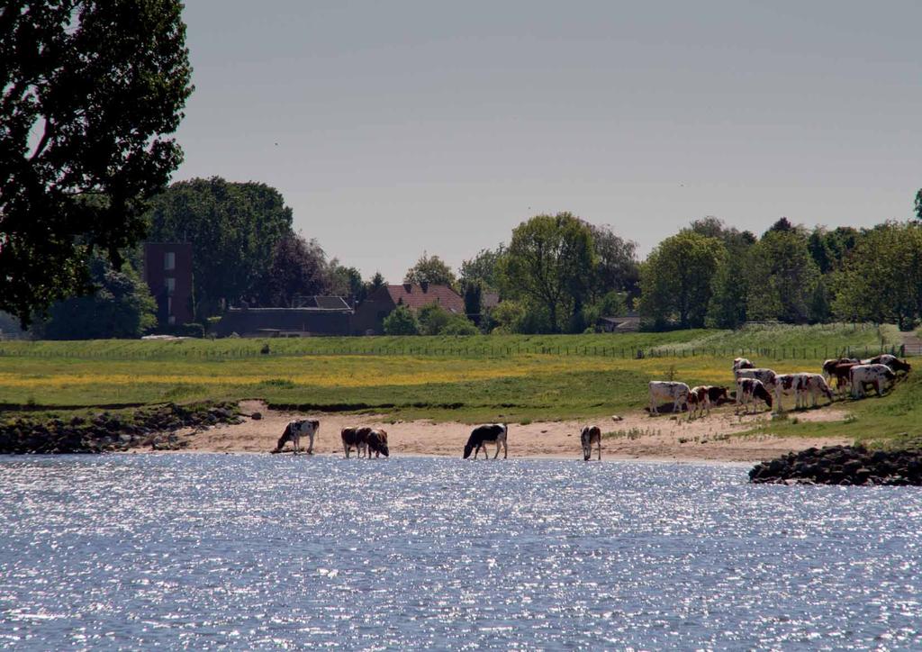 DE BOMMELER WAARD bron afbeelding: Rijkswaterstaat Ons gebied is een oud riviereneiland, omringd door de Waal, de Maas en de Afgedamde Maas.