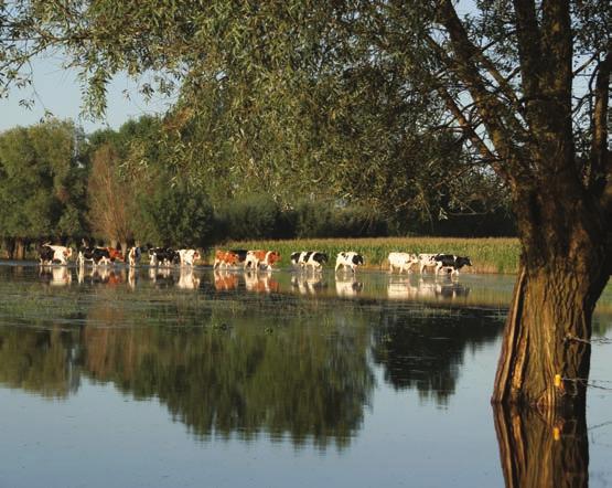 De watertoets West-Vlaanderen Werkt 3, 2006 regering belooft om in de nabije toekomst specifieke richtlijnen voor plannen en programma s op te stellen.