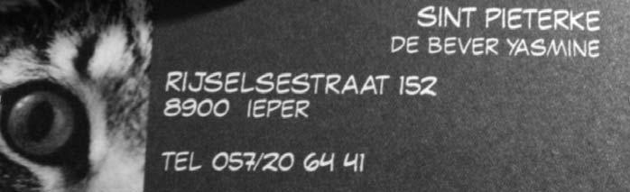 Alhoewel het begin wat rommelig leek, werkten we toch knap af, Izegem klampte aan. Enkel door wat onoplettendheid van ons konden ze scoren. Na q1 staat 16-7 op het bord.