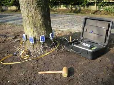Figuur 1. Opstelling van de tomograaf. Onderzoek van bomen met de tomograaf is gebaseerd op het principe dat gezond hout geluidsgolven beter geleidt dan aangetast hout.