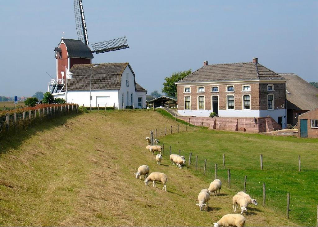 HOOFDBOODSCHAP 6 Bij ruim de helft van de onderzochte dijktrajecten is een beperkte dijkverhoging mogelijk zonder dat kenmerkende kwaliteiten van