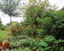 TIP Juni Groenafval Ook een tuin zorgt voor veel afval: gemaaid gras, snoeihout, gevallen bladeren,.