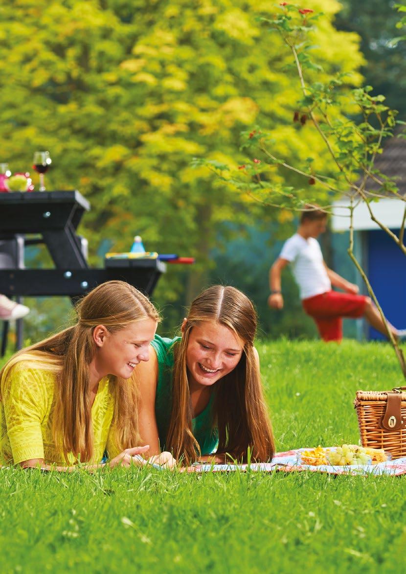 NOOIT MEER Naast Walibi Holland ligt vakantiepark Walibi Village. Er zijn 2-, 4-, 7- en 8-persoonshuisjes aanwezig op het vakantiepark.