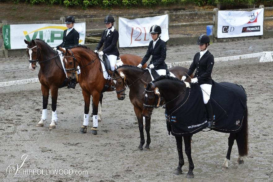 Werkgroep De werkgroep pony s paarden schrijft de lijnen van het project uit, beheert de budgetten, begeleidt de provinciales in de organisatie van wedstrijden, organiseert stages en coördineert