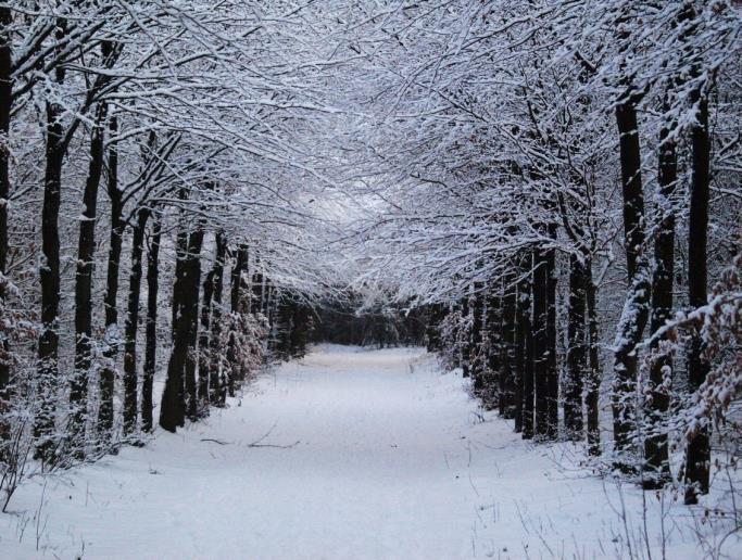 Februari is ook een wintermaand dus hopen we dat we kunnen blijven genieten van de mooie witte sneeuw die in januari even aanwezig was.