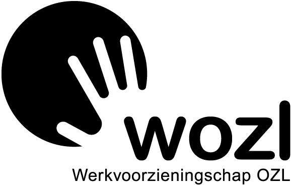 Aanvraagformulier: Titel: Herstructureringsfaciliteit Wsw HERSTRUCTURERINGSPLAN Wsw: in het kader van de aanvraag voor het verkrijgen van een tegemoetkoming uit de herstructureringsfaciliteit op te