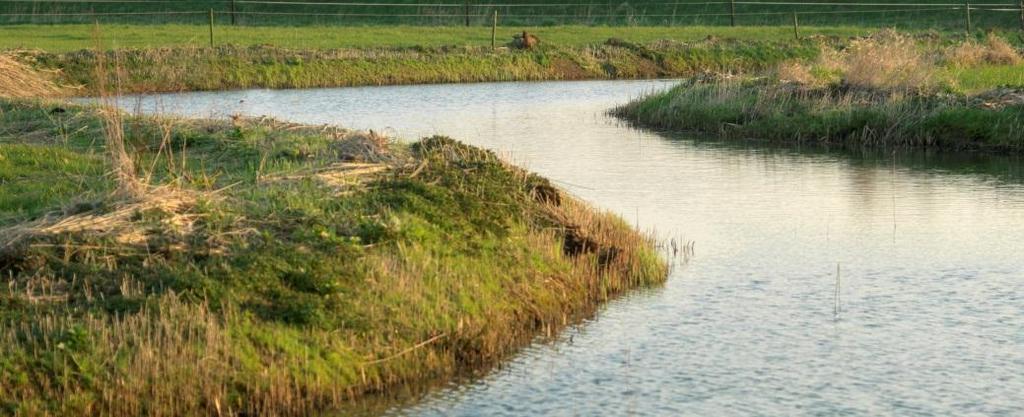 Vergelijk van de omleidingsalternatieven AB1 t/m AB4 In het gebied AB is een aantal effecten ingrijpend, maar voor de onderlinge vergelijking niet of nauwelijks onderscheidend.