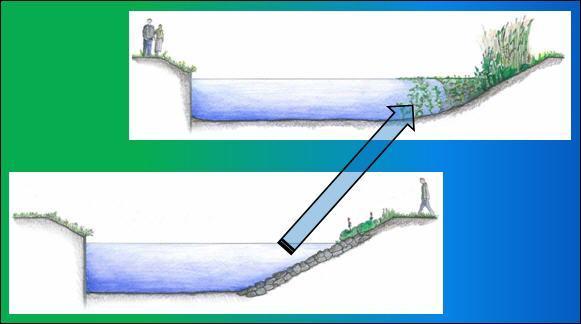 De inrichtingsmaatregelen zorgen niet alleen voor een verhoging van de biodiversiteit maar ook voor een verbetering van het landschapskarakter.