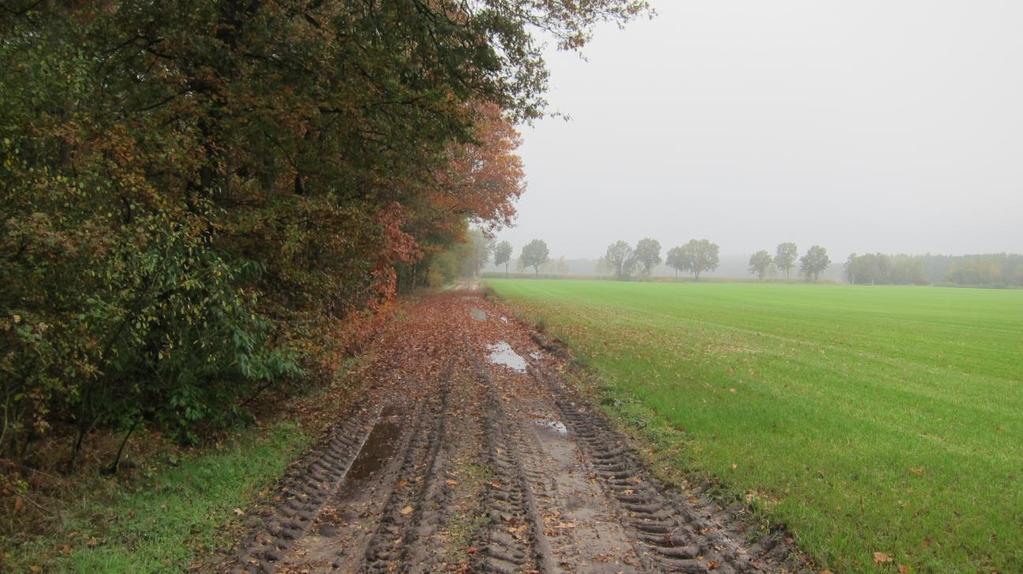 van loofbos naar