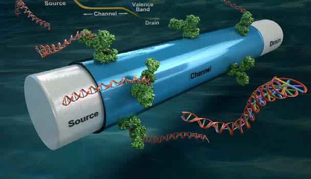 Lab-on-chip: vroege detectie van metastase kankercellen 54 DNA Biosensor artist s impression of a nanowire device used as a sensor for specific DNA molecules in an