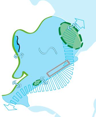 nodig is om de neergaande trend te keren en een opgaande lijn tot stand te brengen: grootschalig moeras voor voedselrijkdom, leefgebied en paaizones, met een oppervlak tot circa 1500 hectare;