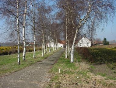 Welstandcriteria Gebiedsgerichte beoordelingskaders Ontwikkelingen dienen ondersteunend te zijn voor de belevingswaarde van het buitengebied (openheid landschap, natuurlijke en agrarische