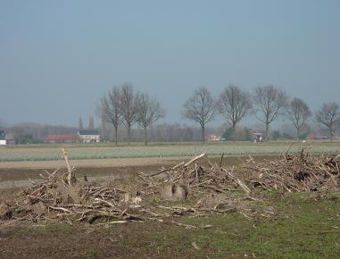 Bijzondere aandacht voor de gebiedseigen structuur van openheid.