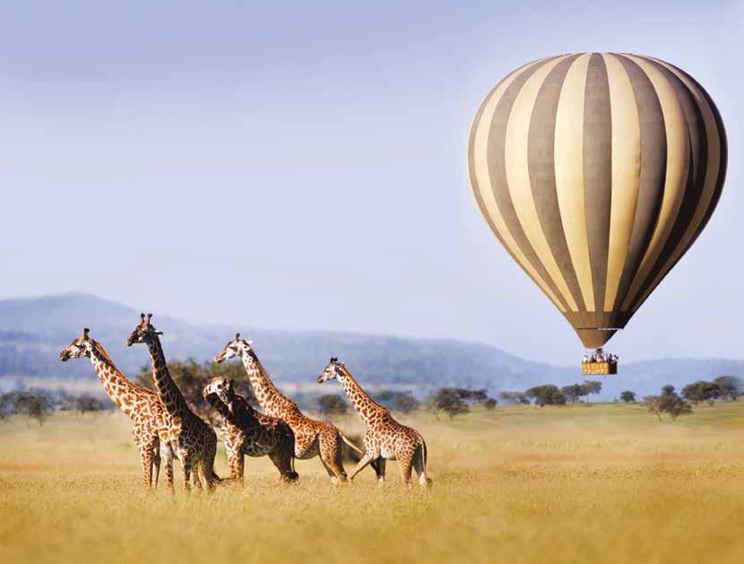 Algemene info safaris. Regenval is in Zuid-Afrika zeer onvoorspelbaar.