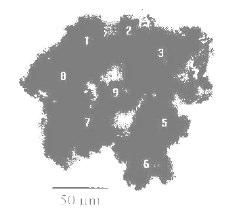 componenten (bacteriën, kleine organismen, extracellular polymeric substance of EPS, ), een zeer fijne poriënstructuur en het hierin gevangen water.