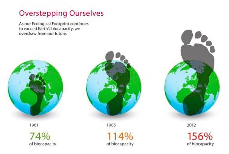 O ECOLOGISCHE FOOTPRINT MVO NEDERLAND