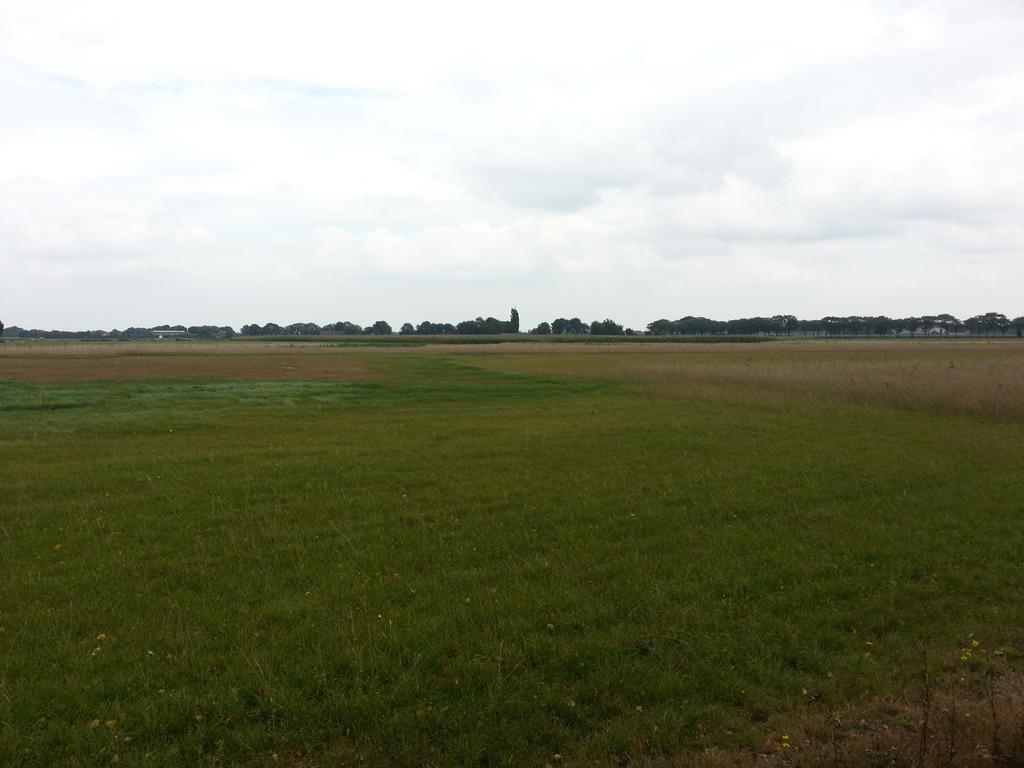 Uitzicht vanuit de woning op het landgoed.