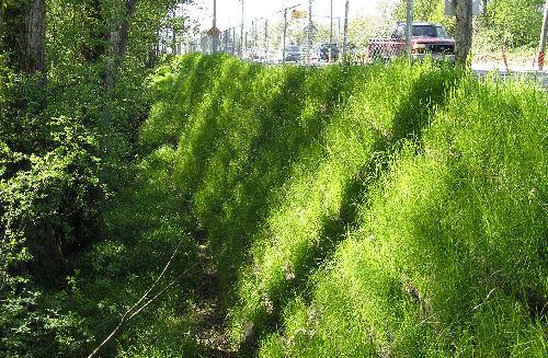 De begeleidende beplanting van het onderliggend wegennet bepaalt hier het beeld; de rijksweg wordt hiermee zo min mogelijk ruimtelijk benadrukt (why).