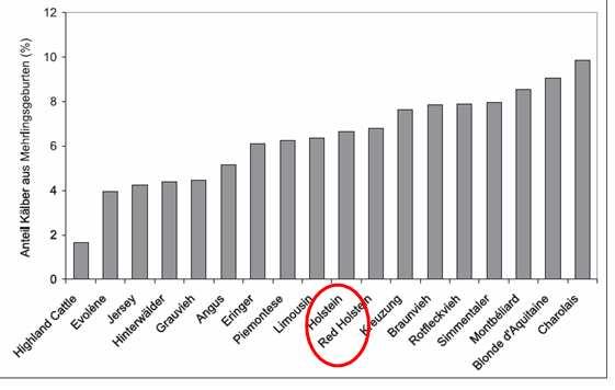 Fig. 9: Procentueel aandeel van kalveren uit meerlinggeboortes in de meest voorkomende Zwitserse runderrassen. Uit: Bleul (2008).