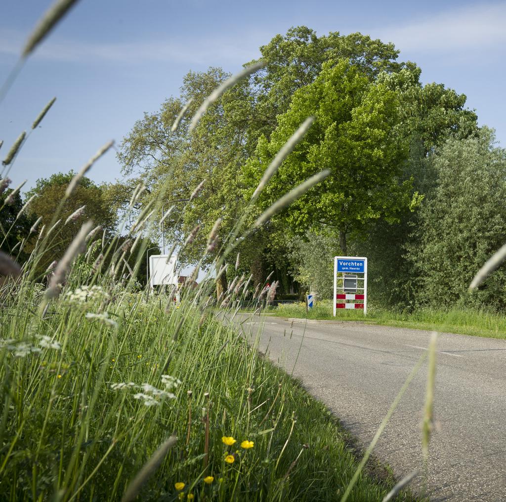 Hoe gaan we verder Deze visie moet de basis zijn van onze Omgevingsvisie en de Kadernota Sociaal Domein.