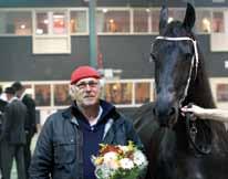 (Anton 343), Feikje- Vrouwkje (Feitse 293P) en tuigmerrie Frederike J. v.d. Wolwarren (Leffert 306P) met haar mooie front.