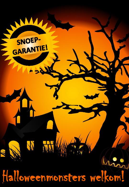 [ halloween?! ] Ontvang je op Halloween ook graag kleine en grotere monsters aan jouw deur?