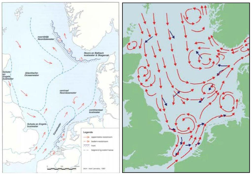 Figuur 1.2 Algemene stroomrichting binnen de Noordzee (overgenomen van Laevastu 1983 in ICONA 1992). Voor de tweede hypothese heeft IMARES een opdracht uitgezet bij Deltares.