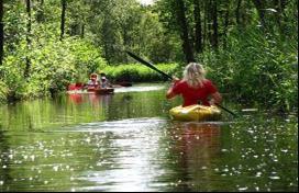 Langs waterlelies en gele plompen op de petgaten tussen het riet. Al peddelend in de kano of samen in de fluisterboot. Of gewoon rustig varen en mooie foto-s maken.