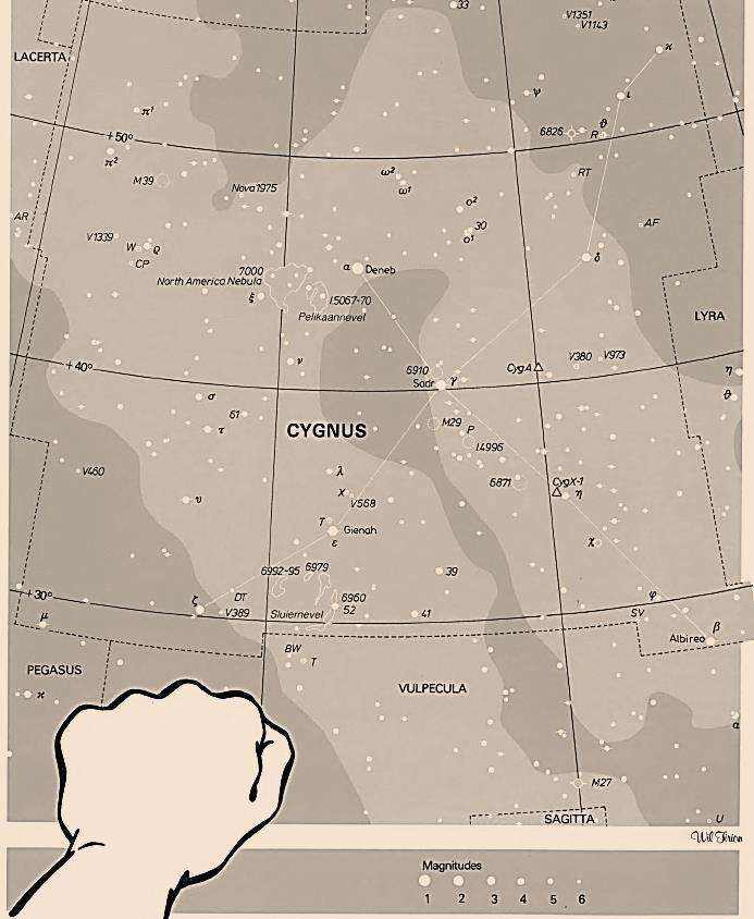 5 Cygnus Augustus biedt echter nog meer bezienswaardigheden aan de hemel. Iedereen heeft wel al eens gehoord van het Zuiderkruis: zoals het zuidelijke sterrenbeeld Crux gewoonlijk wordt genoemd.