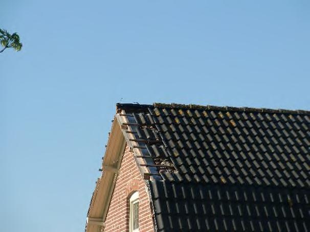 Resultaten Het paartje steenuilen heeft een nest onder het dak van de woning. Op afbeelding 3.17 is het paartje steenuilen op het dak weergegeven. Afbeelding 3.17. Paartje steenuilen op dak Bredesteeg 27.