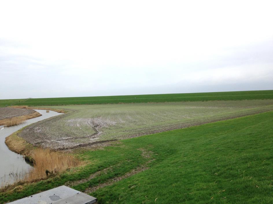 1 I n l e i d i n g Intocon Marcourt B.V (hierna: initiatiefnemer ) is voornemens om langs de Oostpolderdijk, ter hoogte van bedrijventerrein Eemshaven Zuidoost, een winturbine te plaatsen.