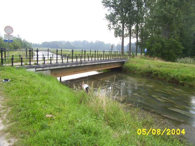1 INLEIDING In juli 2013 werd vissterfte vastgesteld in vijver De Poer in Westmeerbeek (Hulshout), nadat water was ingenomen uit de Grote Nete.