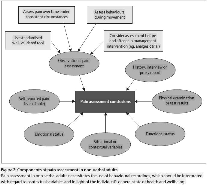 Fig.2: De elementen van pijnbeoordeling bij niet-verbale volwassenen.