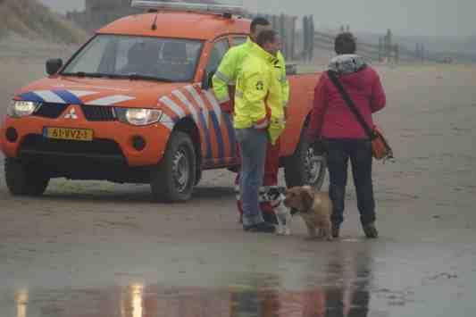 De baasjes hadden het druk met 'meet and greet' en de honden waren aan het snuffelen en kwispelen.