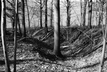 onder bos Bronstijd- Iijzertijd