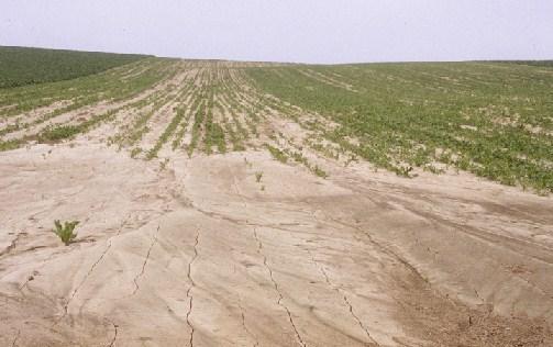 van hellingen Sediment in droge