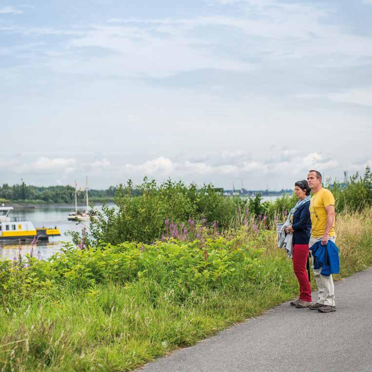 Negen werven voor Scheldeland Een strategie voor