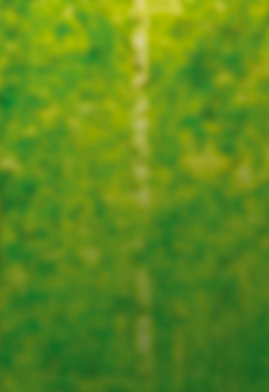 COLOFON Handleiding materiaalpakket: Uitgave Stichting Vogelpark Avifauna, Alphen aan den Rijn 2016 Bezoekadres Hoorn 65, 2404 HG Alphen aan den Rijn Postadres Postbus 31, 2400 AA Alphen aan den Rijn